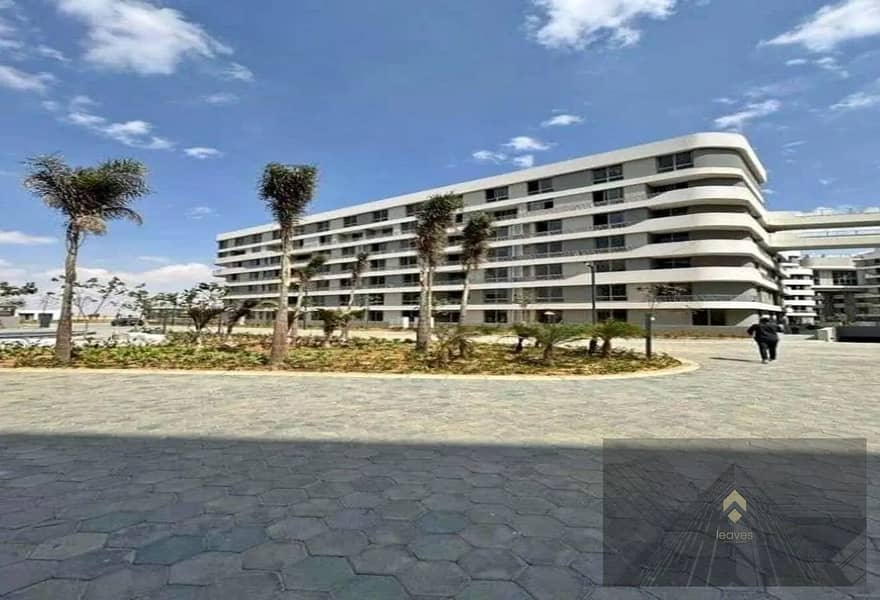 4 2. jpg