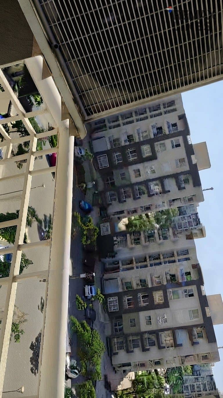 3 1001244650. jpg