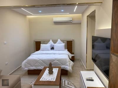 1 Bedroom Flat for Rent in Nasr City, Cairo - 1000305749. jpg