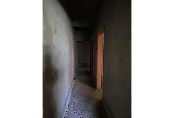 5 1000726605. jpg