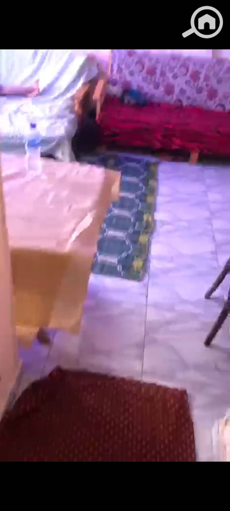 10 135678. jpg