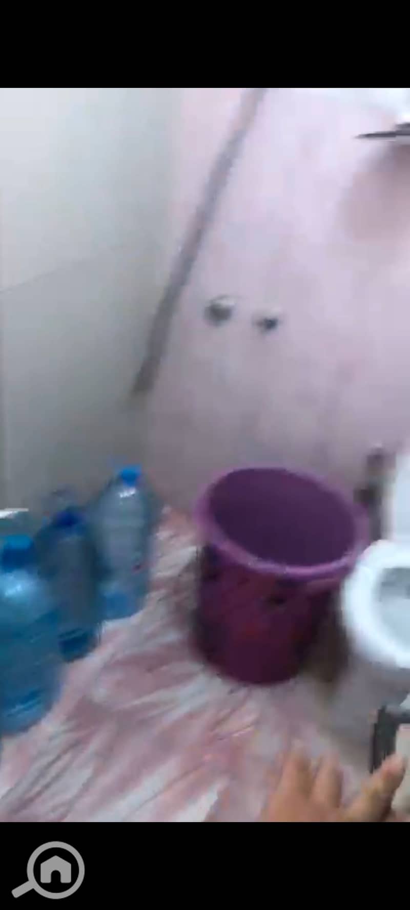 12 135676. jpg