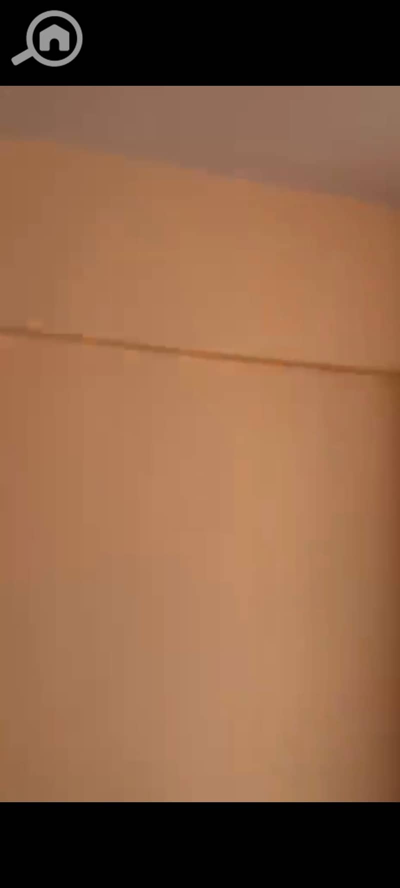 21 135667. jpg