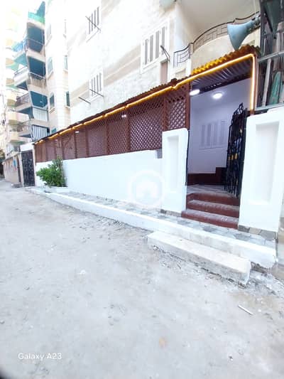 فلیٹ 2 غرفة نوم للبيع في النخيل، الإسكندرية - 1000526175. heic