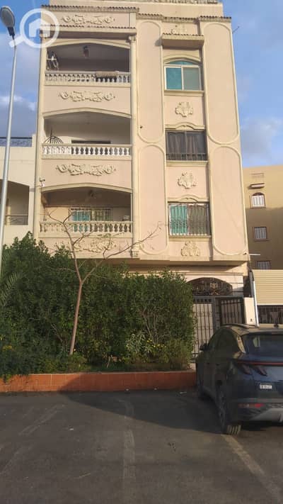 شقة 3 غرف نوم للبيع في القاهرة الجديدة، القاهرة - WhatsApp Image 2026-10-10 at 10.52. 38 AM. jpeg شقة 3 غرف نوم للبيع في القاهرة الجديدة، القاهرة - WhatsApp Image 2026-10-10 at 10.52. 38 AM. jpeg