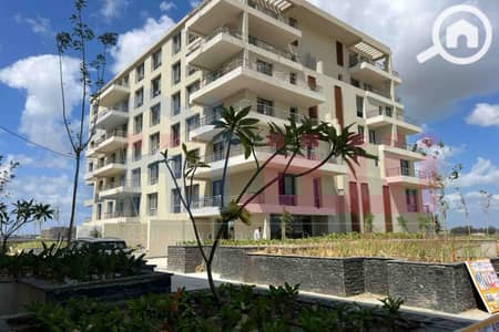 3 Bedroom Flat for Sale in Palm Hills, Alexandria - WhatsApp Image 2025-08-24 at 13.39. 11_616dfc4c. jpg