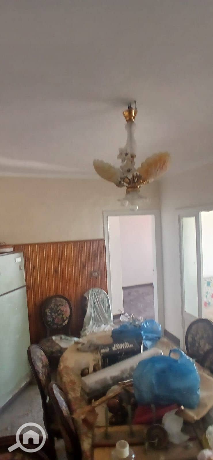 12 WhatsApp Image 2026-10-10 at 12.11. 52 (2). jpeg