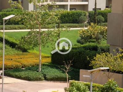 3 Bedroom Apartment for Sale in New Cairo, Cairo - 46d015ed-63bf-46de-b1f7-e4faa55897c7. jpg