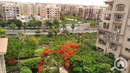 3 Bedroom Flat for Rent in Madinaty, Cairo - WhatsApp Image 2026-10-07 at 6.15. 07 PM (4). jpeg