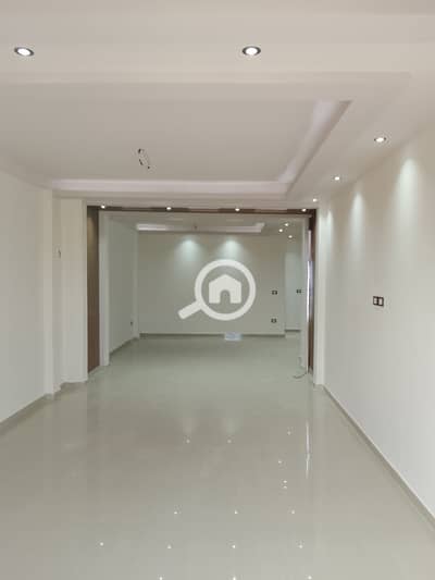 3 Bedroom Flat for Rent in Miami, Alexandria - 1000008787. jpg 3 Bedroom Flat for Rent in Miami, Alexandria - 1000008787. jpg