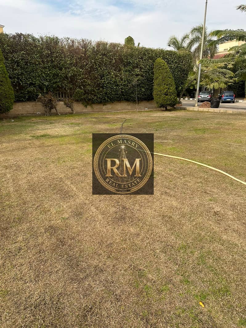 11 b442e001-c158-40a8-b416-e9c34b14dd6e. jpg