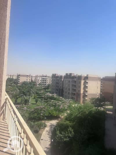 3 Bedroom Apartment for Rent in Madinaty, Cairo - 1000486444. jpg 3 Bedroom Apartment for Rent in Madinaty, Cairo - 1000486444. jpg