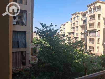 2 Bedroom Flat for Rent in Madinaty, Cairo - a861f634-6693-4381-8a6d-43a88b37ae1f. jpeg 2 Bedroom Flat for Rent in Madinaty, Cairo - a861f634-6693-4381-8a6d-43a88b37ae1f. jpeg