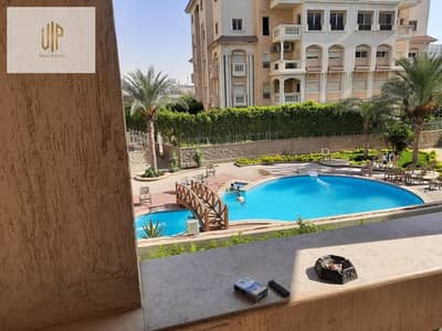 2 Bedroom Apartment for Rent in New Cairo, Cairo - WhatsApp Image 2026-10-10 at 3.13. 46 PM. jpeg