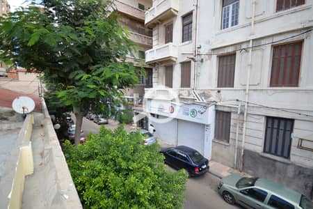 Retail for Rent in Raml Station, Alexandria - DSC_0178. JPG Retail for Rent in Raml Station, Alexandria - DSC_0178. JPG