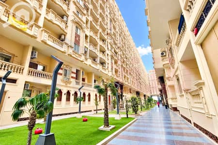 3 Bedroom Flat for Rent in Smoha, Alexandria - WhatsApp Image 2026-09-28 at 17.38. 04. jpg 3 Bedroom Flat for Rent in Smoha, Alexandria - WhatsApp Image 2026-09-28 at 17.38. 04. jpg
