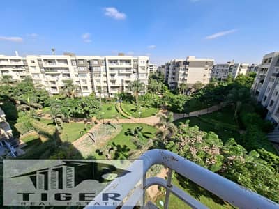 3 Bedroom Flat for Rent in Madinaty, Cairo - 150482. jpg 3 Bedroom Flat for Rent in Madinaty, Cairo - 150482. jpg