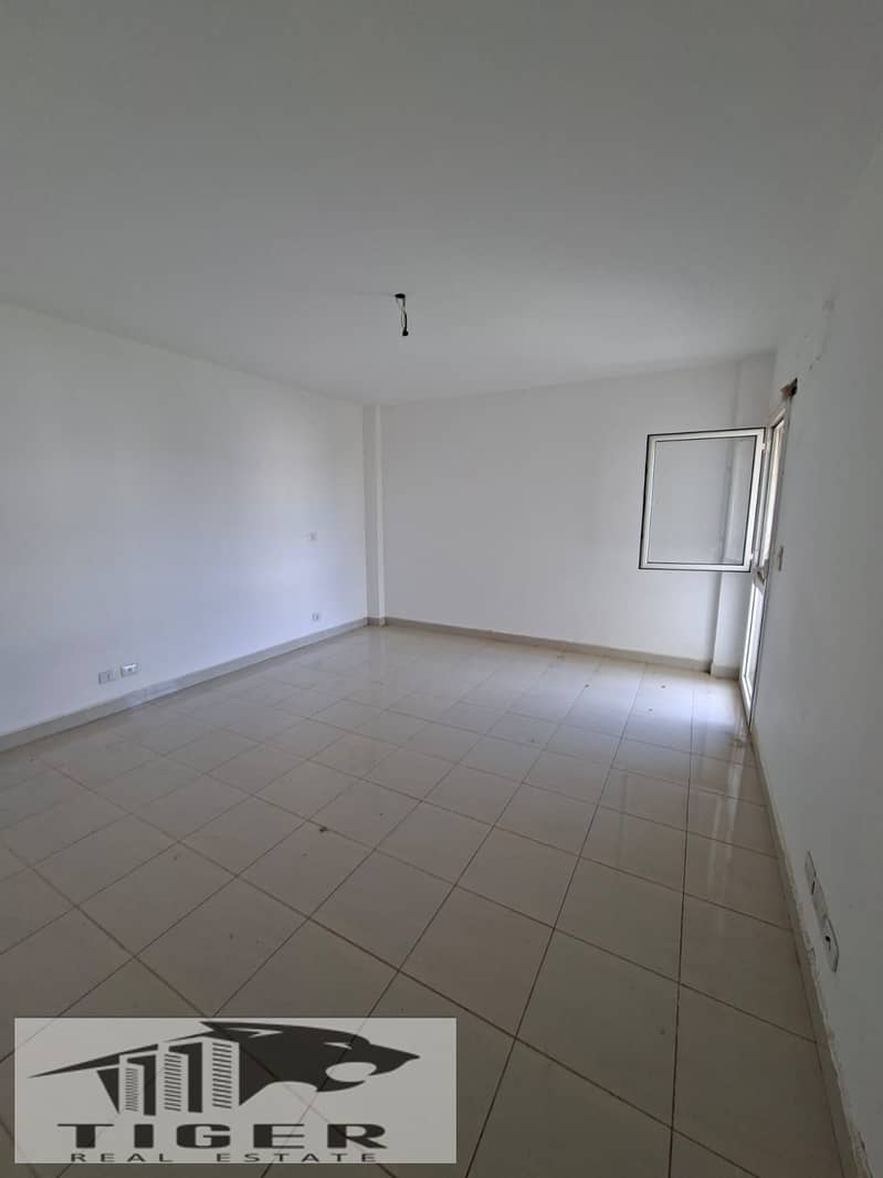4 150461. jpg