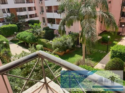 3 Bedroom Apartment for Rent in New Cairo, Cairo - WhatsApp Image 2026-10-10 at 4.54. 30 PM (1). jpeg