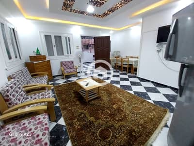 2 Bedroom Apartment for Sale in Nakheel, Alexandria - 1000527082. heic