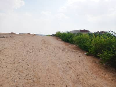 Other Commercial for Sale in Bilbeis, Sharqia - أرض مباني بموقع متميز للبيع بمساحة 681.5 متر تطل على 3 شوارع Other Commercial for Sale in Bilbeis, Sharqia - أرض مباني بموقع متميز للبيع بمساحة 681.5 متر تطل على 3 شوارع