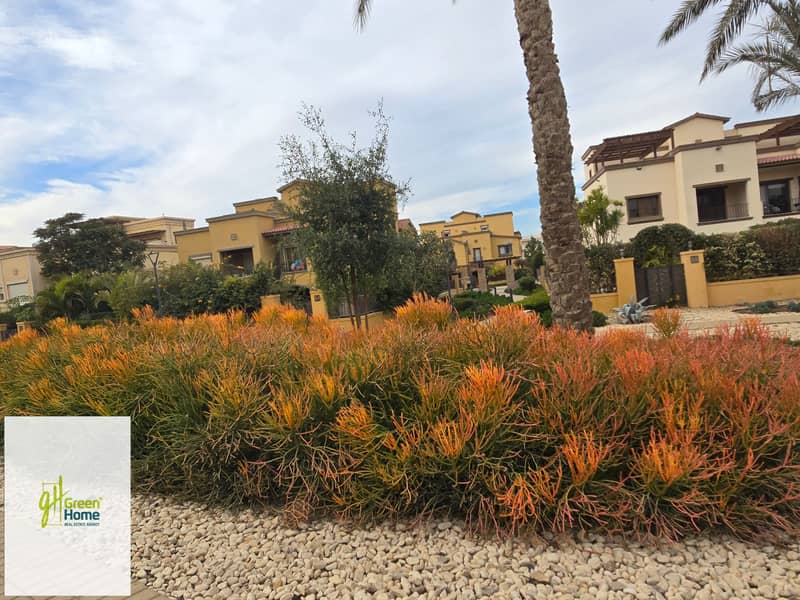 20260104_135506. jpg 20260104_135506. jpg