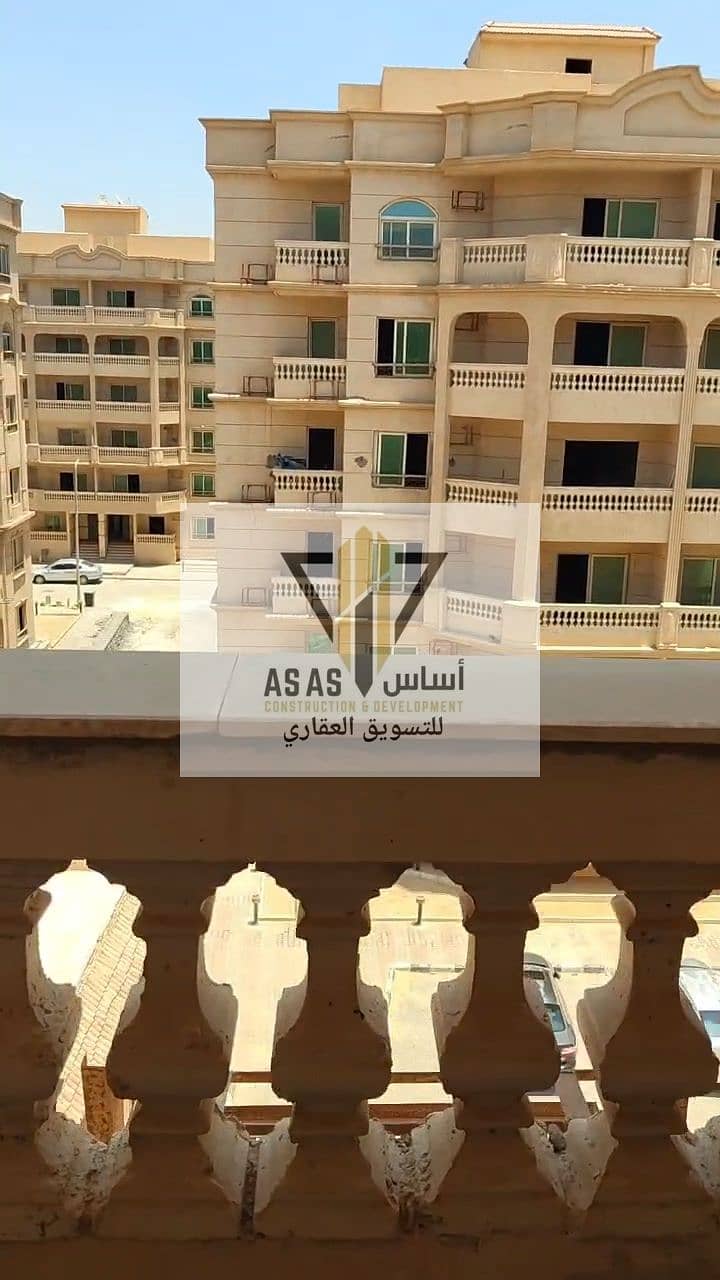 8 72566. jpg