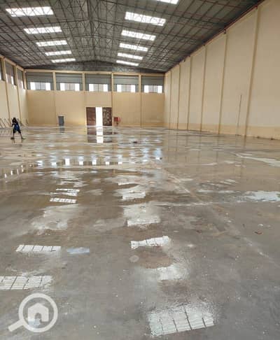 Factory for Rent in 6th of October, Giza - 1000003670. jpg Factory for Rent in 6th of October, Giza - 1000003670. jpg