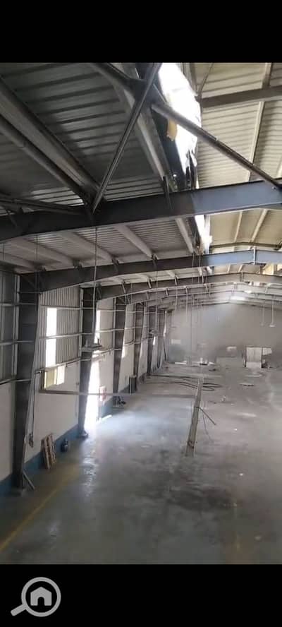 Factory for Rent in 6th of October, Giza - 1000004495. jpg Factory for Rent in 6th of October, Giza - 1000004495. jpg