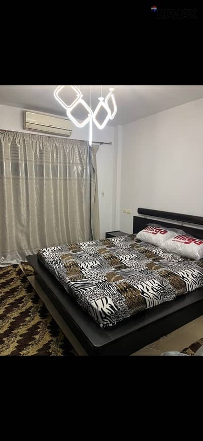 2 Bedroom Flat for Rent in Madinaty, Cairo - 1000388989. jpg 2 Bedroom Flat for Rent in Madinaty, Cairo - 1000388989. jpg