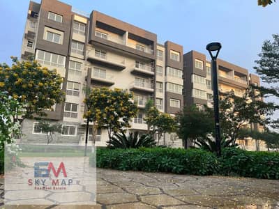 3 Bedroom Apartment for Rent in Madinaty, Cairo - 1000604800. jpg