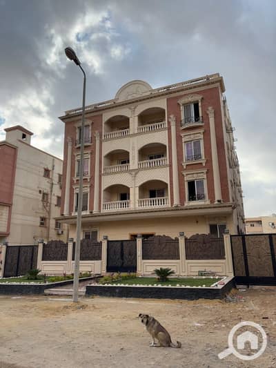 3 Bedroom Apartment for Sale in New Cairo, Cairo - WhatsApp Image 2026-10-11 at 1.45. 41 AM (1). jpeg