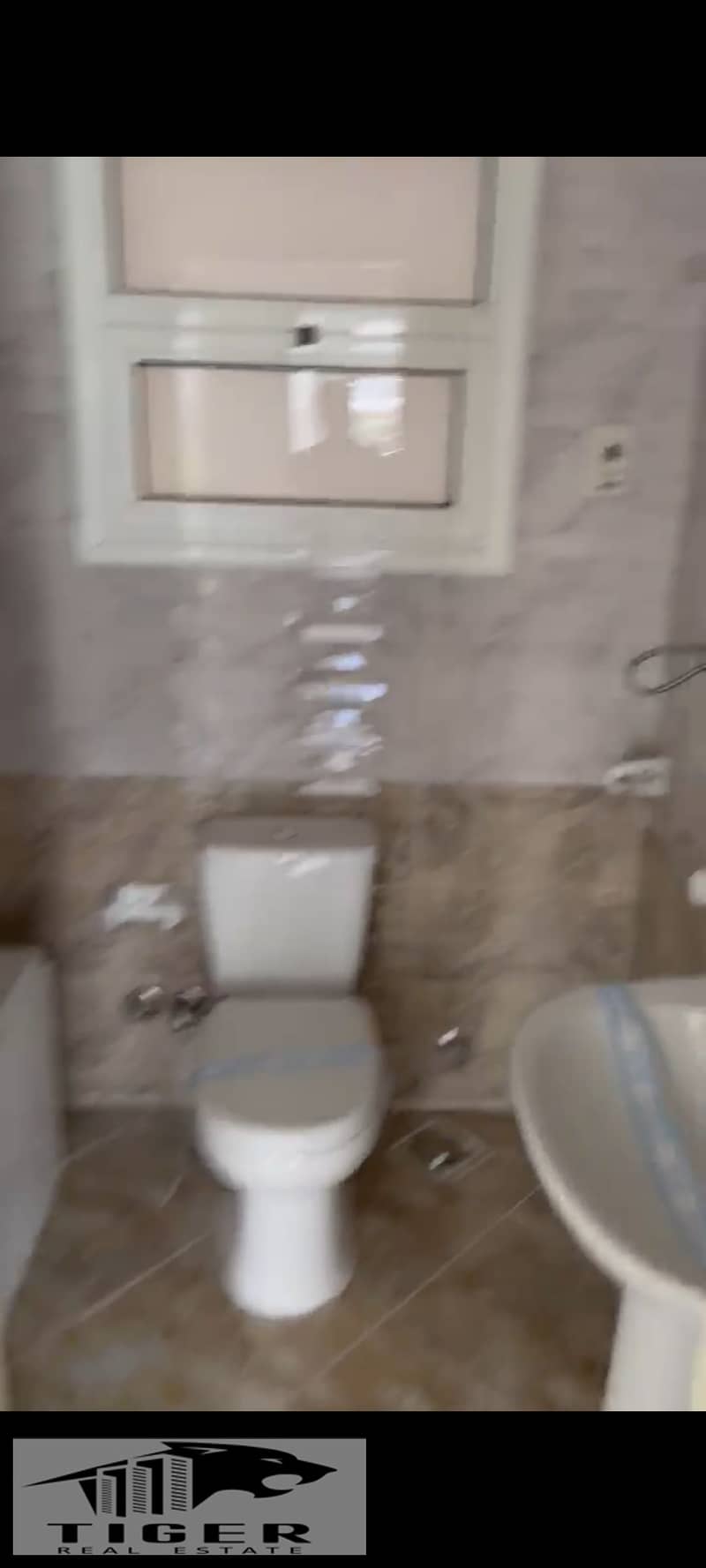 3 1000957427. jpg