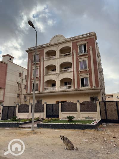 3 Bedroom Apartment for Sale in New Cairo, Cairo - WhatsApp Image 2026-10-11 at 1.45. 41 AM (1). jpeg