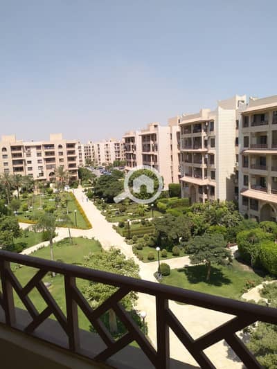 3 Bedroom Flat for Rent in New Cairo, Cairo - 1001092734. jpg