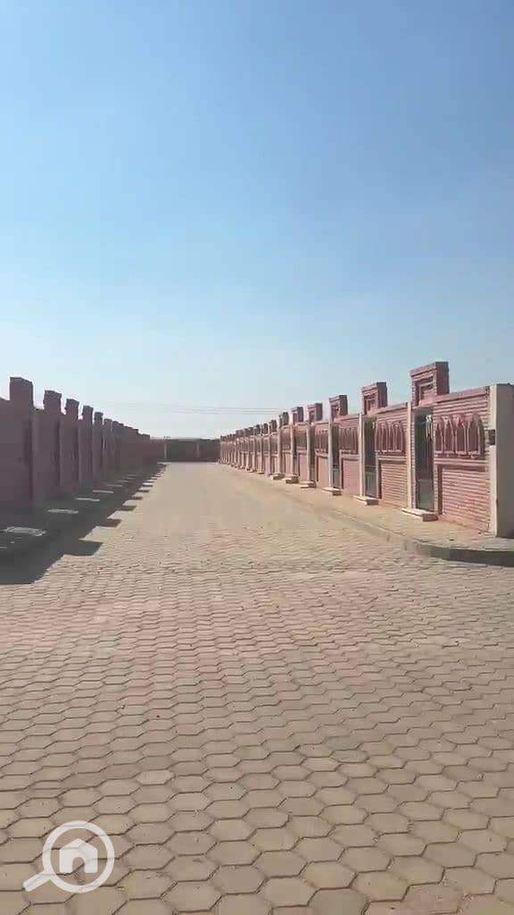 4 1000301539. jpg
