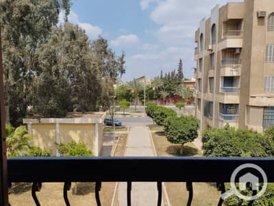 2 Bedroom Apartment for Rent in Sheikh Zayed, Giza - 1000005004. jpg