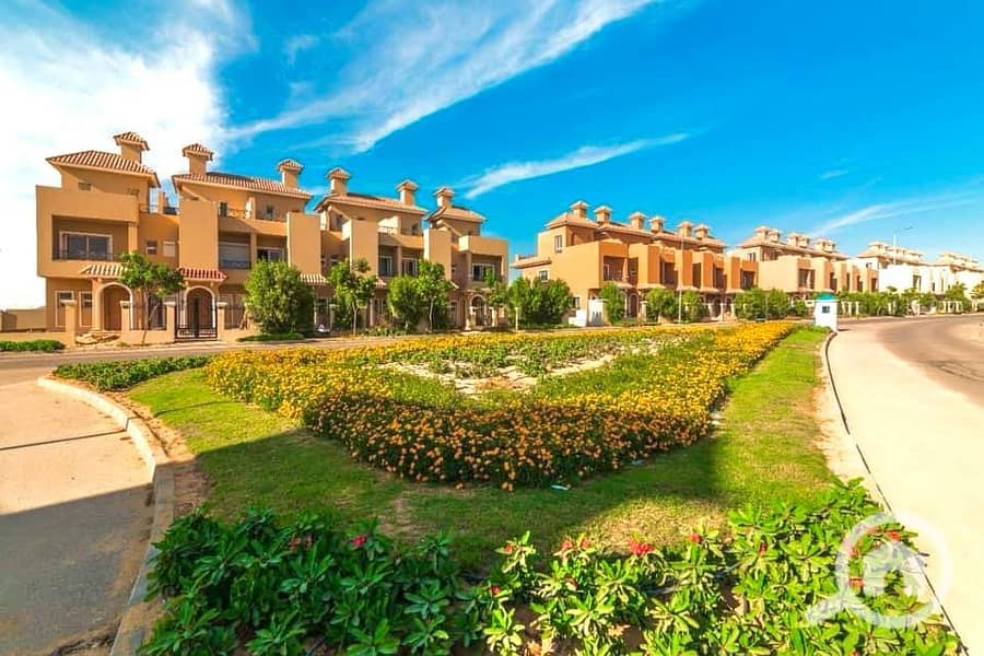 5 40986ea9-1124-4674-a411-828b9c668adc. jpg