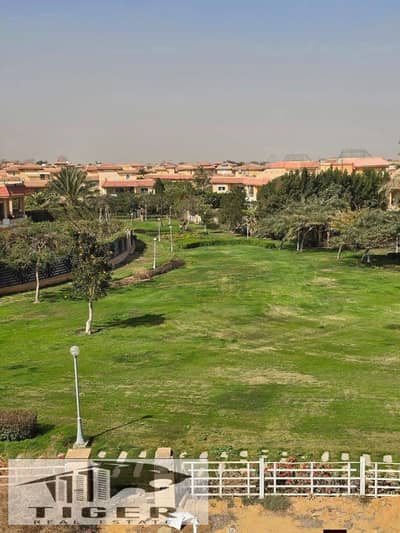 4 Bedroom Villa for Sale in Madinaty, Cairo - WhatsApp Image 2026-10-10 at 10.10. 04 PM (1). jpeg