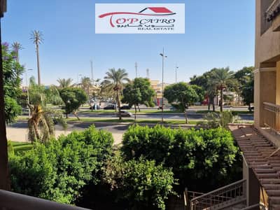3 Bedroom Apartment for Sale in Madinaty, Cairo - WhatsApp Image 2026-09-26 at 6.46. 32 PM. jpeg 3 Bedroom Apartment for Sale in Madinaty, Cairo - WhatsApp Image 2026-09-26 at 6.46. 32 PM. jpeg