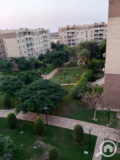 2 Bedroom Apartment for Rent in Madinaty, Cairo - WhatsApp Image 2026-09-24 at 1.42. 25 PM (6). jpeg 2 Bedroom Apartment for Rent in Madinaty, Cairo - WhatsApp Image 2026-09-24 at 1.42. 25 PM (6). jpeg