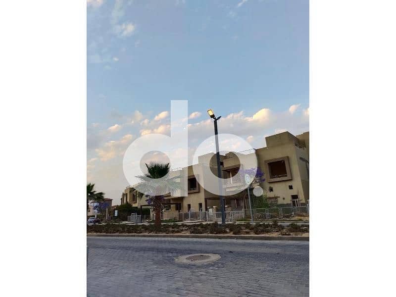 8 018. jpg