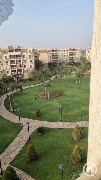 2 Bedroom Flat for Sale in Madinaty, Cairo - WhatsApp Image 2026-10-03 at 4.44. 57 PM (1). jpeg 2 Bedroom Flat for Sale in Madinaty, Cairo - WhatsApp Image 2026-10-03 at 4.44. 57 PM (1). jpeg