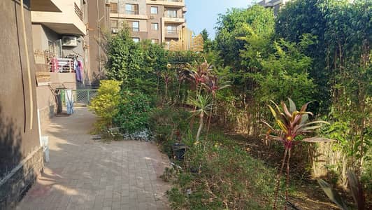 فلیٹ 3 غرف نوم للبيع في الشيخ زايد، الجيزة - 1000031870. jpg فلیٹ 3 غرف نوم للبيع في الشيخ زايد، الجيزة - 1000031870. jpg