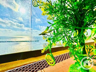 3 Bedroom Flat for Rent in Miami, Alexandria - WhatsApp Image 2026-09-27 at 12.24. 32 (1). jpeg 3 Bedroom Flat for Rent in Miami, Alexandria - WhatsApp Image 2026-09-27 at 12.24. 32 (1). jpeg