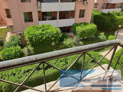 3 Bedroom Apartment for Rent in New Cairo, Cairo - WhatsApp Image 2026-10-11 at 2.14. 14 PM. jpeg