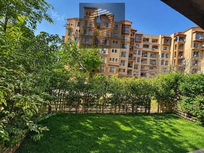 3 Bedroom Apartment for Sale in Madinaty, Cairo - WhatsApp Image 2026-10-11 at 2.26. 49 PM. jpeg 3 Bedroom Apartment for Sale in Madinaty, Cairo - WhatsApp Image 2026-10-11 at 2.26. 49 PM. jpeg