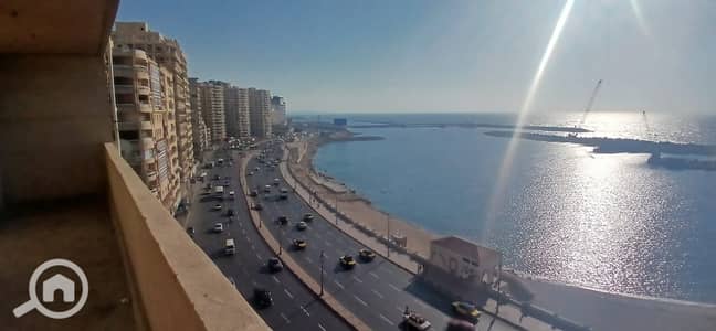 3 Bedroom Apartment for Sale in Sidi Beshr, Alexandria - WhatsApp Image 2026-10-10 at 12.11. 49 (1). jpeg