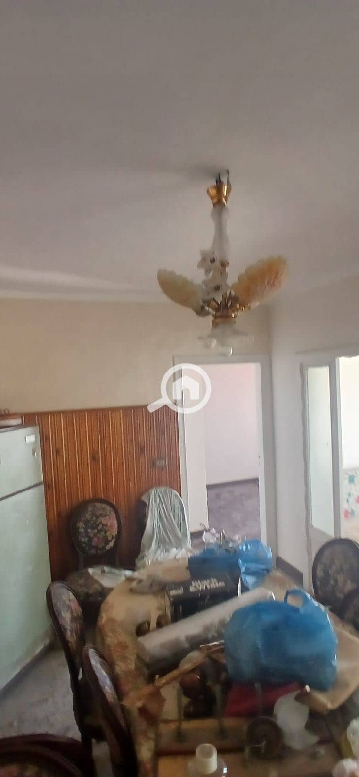 12 WhatsApp Image 2026-10-10 at 12.11. 52 (2). jpeg