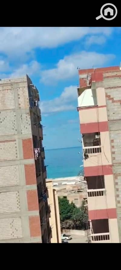 3 Bedroom Flat for Sale in Agami, Alexandria - 136286. jpg 3 Bedroom Flat for Sale in Agami, Alexandria - 136286. jpg